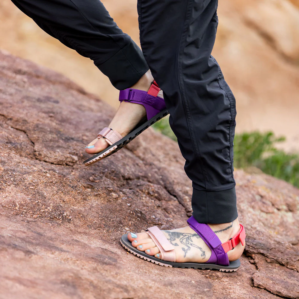 XeroShoes - D-Trail - Womens - Dewberry Multi - Image 2