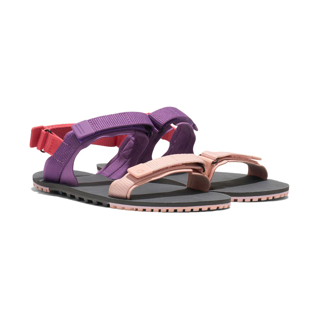 XeroShoes - D-Trail - Womens - Dewberry Multi - Image 4