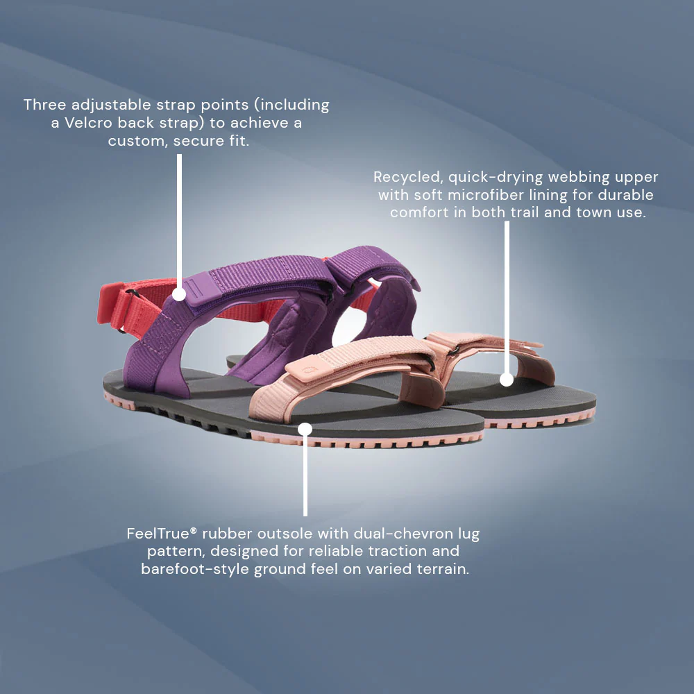 XeroShoes - D-Trail - Womens - Dewberry Multi - Image 6