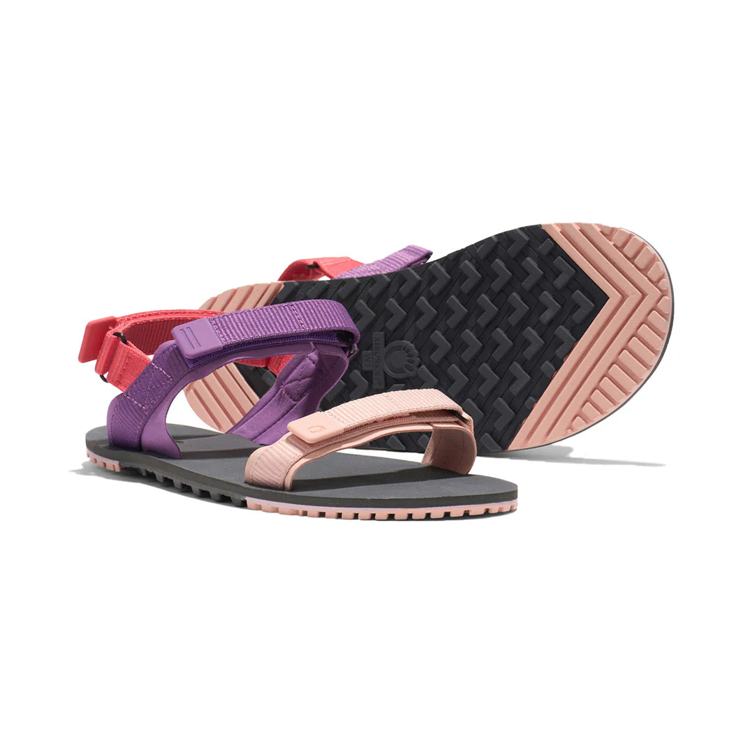 XeroShoes - D-Trail - Womens - Dewberry Multi - Image 8